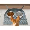 imageBlance Rosana HeavyDuty Waterproof  Indoor Plant Transplanting ampamp Mess Control Mat Thick Succulent Potting Tray for Soil Change SpillProof Gardening ampamp Pet Grooming Mat M295quot x 295quotM  295 x 295