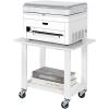imageSunnyPoint 2Tier Under Desk Printer Stand with Storage Shelf and Steel Frame Industrial Mobile Printer Cart Holder with Lockable Wheels for Home and Office BLKWHT